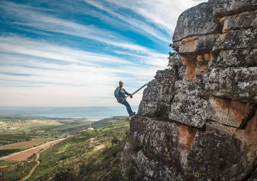 הוייה פרטה ברביד חגית